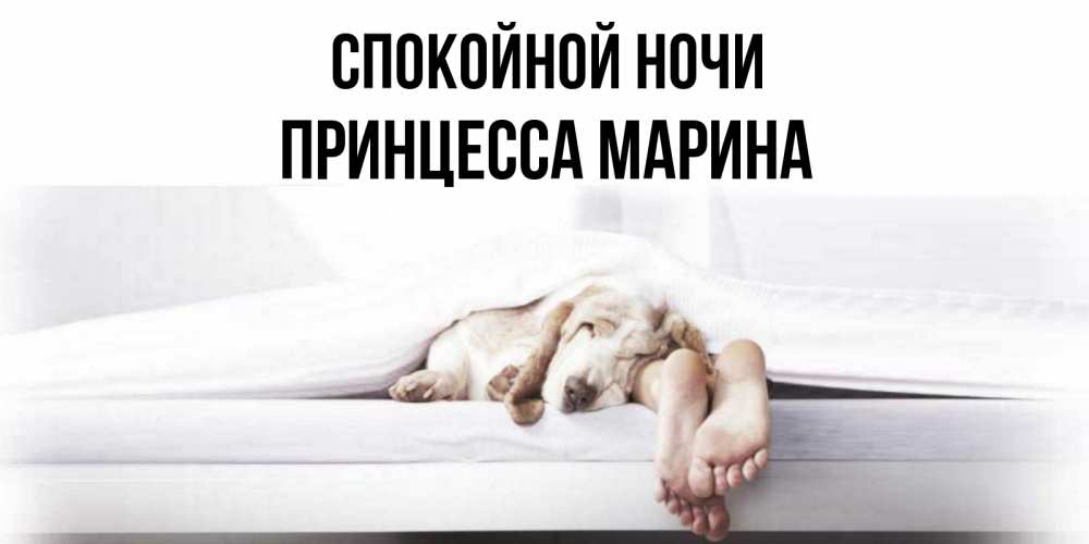 Открытка на каждый день с именем, Принцесса-Марина Спокойной ночи кровать с собакой пожелание сладких снов и спокойной ночи Прикольная открытка с пожеланием онлайн скачать бесплатно 