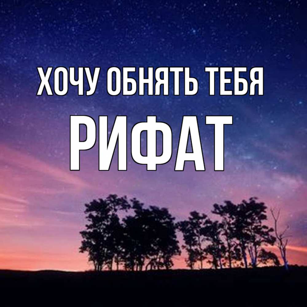Открытка на каждый день с именем, Рифат Хочу обнять тебя силуэты деревьев Прикольная открытка с пожеланием онлайн скачать бесплатно 