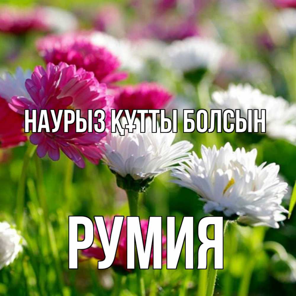Открытка на каждый день с именем, Румия Наурыз құтты болсын наурыз Прикольная открытка с пожеланием онлайн скачать бесплатно 