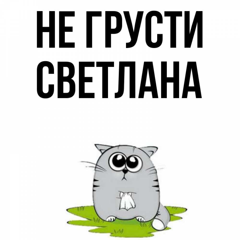 Открытка на каждый день с именем, Светлана Не грусти грустный котяра Прикольная открытка с пожеланием онлайн скачать бесплатно 