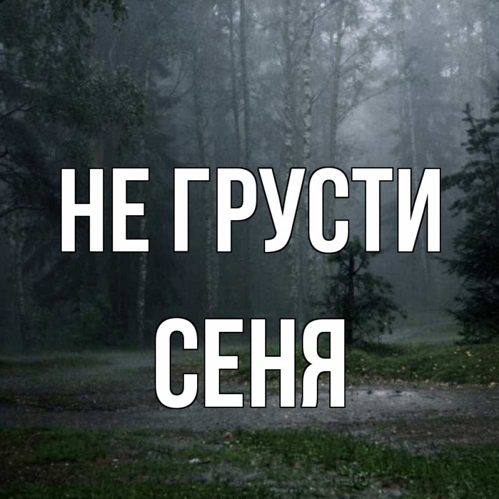 Открытка на каждый день с именем, Сеня Не грусти осень Прикольная открытка с пожеланием онлайн скачать бесплатно 