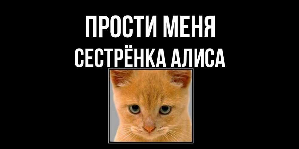 Открытка на каждый день с именем, Сестрёнка-Алиса Прости меня рыжий грустный кот просит прощения Прикольная открытка с пожеланием онлайн скачать бесплатно 