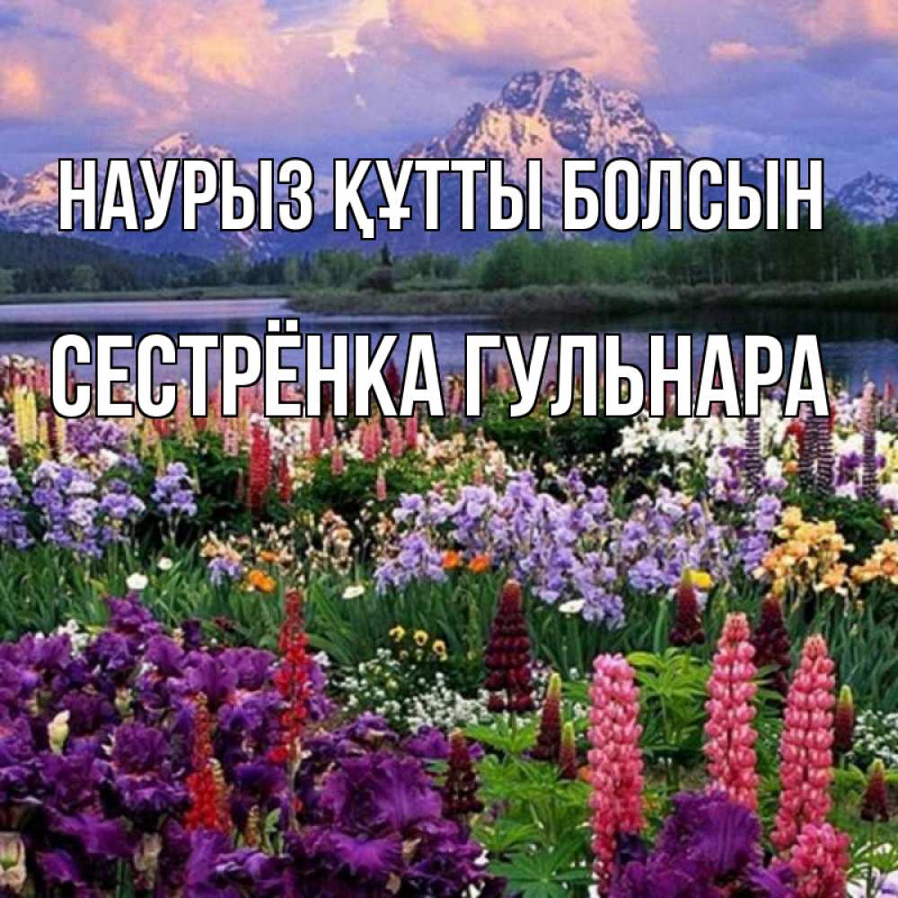 Открытка на каждый день с именем, Сестрёнка-Гульнара Наурыз құтты болсын наурыз Прикольная открытка с пожеланием онлайн скачать бесплатно 