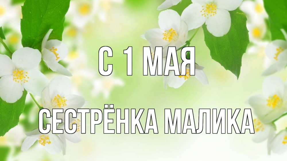 Открытка на каждый день с именем, Сестрёнка-Малика С 1 мая С 1 мая Прикольная открытка с пожеланием онлайн скачать бесплатно 