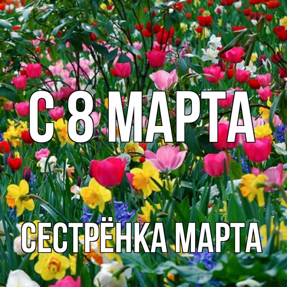 Открытка на каждый день с именем, Сестрёнка-Марта С 8 МАРТА с международным женским днем поздравления для женщины Прикольная открытка с пожеланием онлайн скачать бесплатно 