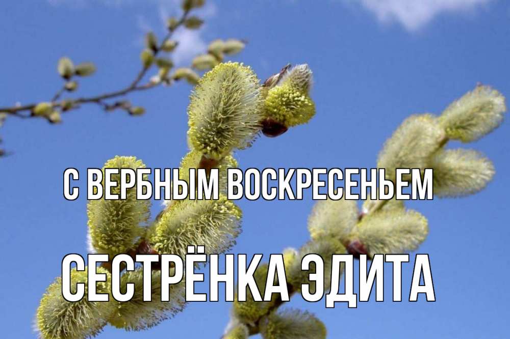 Открытка на каждый день с именем, Сестрёнка-Эдита С вербным воскресеньем верба Прикольная открытка с пожеланием онлайн скачать бесплатно 