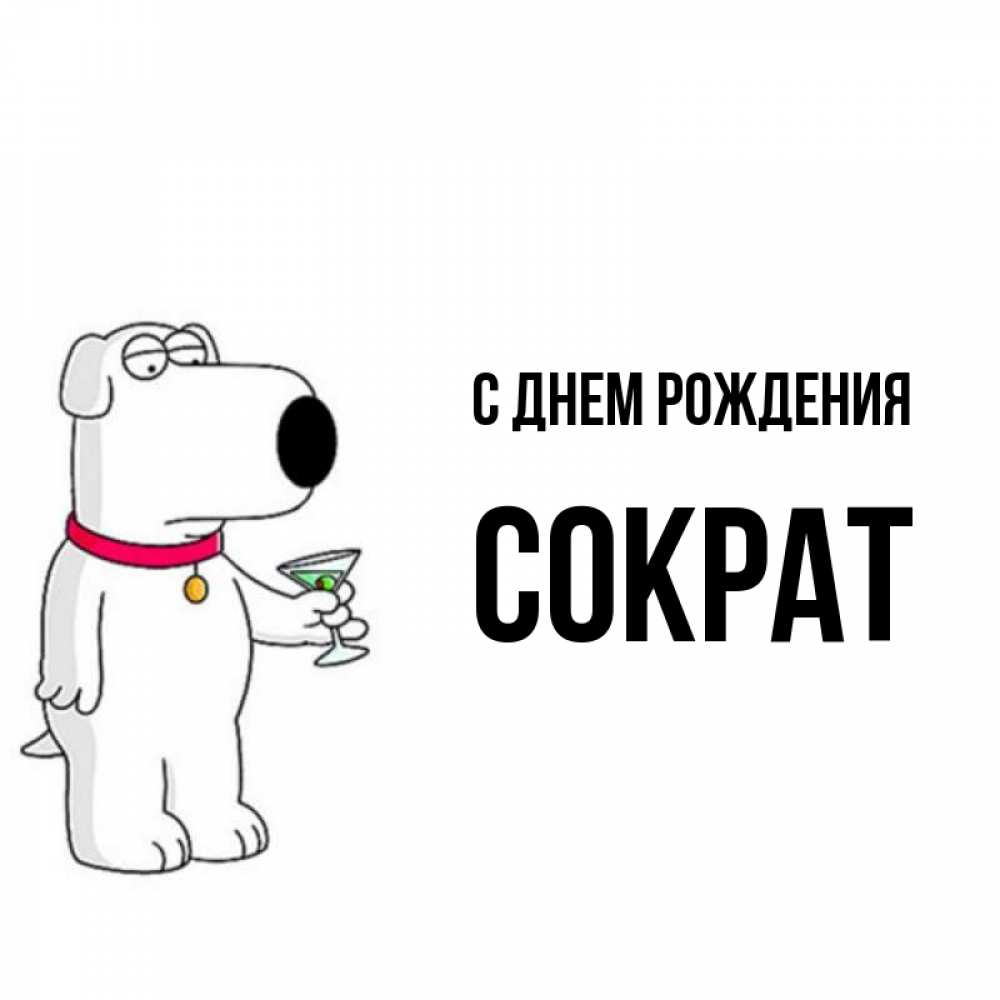 Открытка на каждый день с именем, Сократ С днем рождения песик с оливками Прикольная открытка с пожеланием онлайн скачать бесплатно 