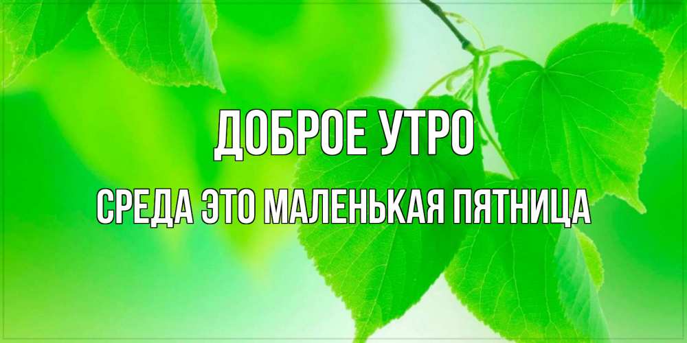Открытка на каждый день с именем, Среда-это-маленькая-пятница Доброе утро доброе утро с березовыми листьями Прикольная открытка с пожеланием онлайн скачать бесплатно 