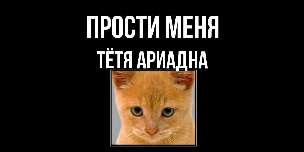 Открытка на каждый день с именем, Тётя-Ариадна Прости меня рыжий грустный кот просит прощения Прикольная открытка с пожеланием онлайн скачать бесплатно 
