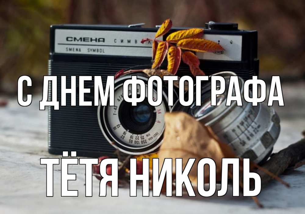 Открытка на каждый день с именем, Тётя-Николь С днем фотографа с днем фотографа Прикольная открытка с пожеланием онлайн скачать бесплатно 