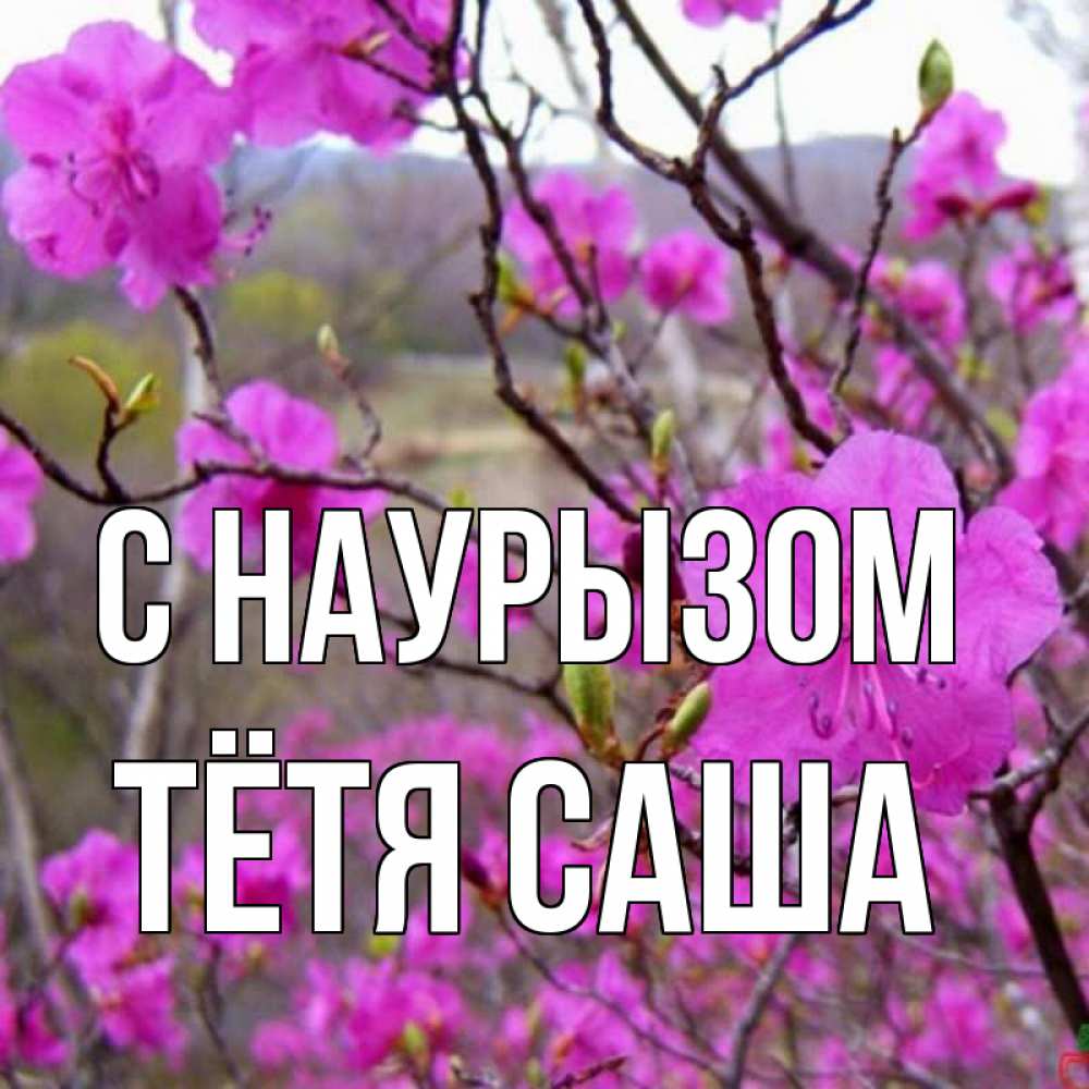 Открытка на каждый день с именем, Тётя-Саша С наурызом праздник весны наурыз Прикольная открытка с пожеланием онлайн скачать бесплатно 