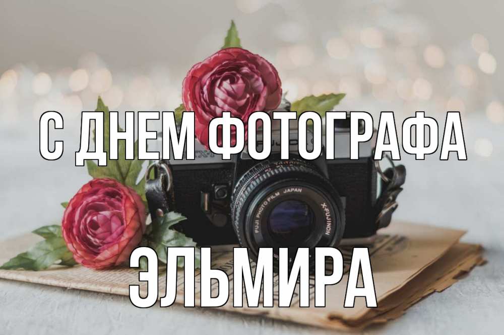 Открытка на каждый день с именем, Эльмира С днем фотографа с днем фотографа Прикольная открытка с пожеланием онлайн скачать бесплатно 