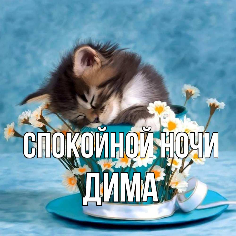 Открытка на каждый день с именем, дима Спокойной ночи котенок спит в кружке с блюдцем Прикольная открытка с пожеланием онлайн скачать бесплатно 