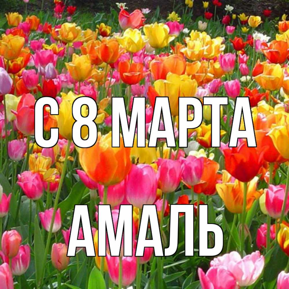 Открытка на каждый день с именем, Амаль С 8 МАРТА на международный женский день Прикольная открытка с пожеланием онлайн скачать бесплатно 
