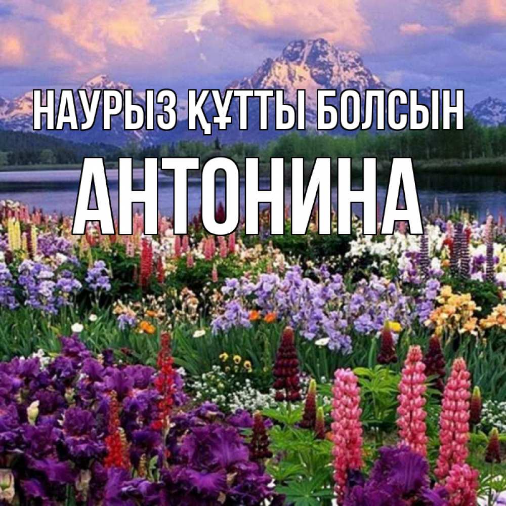 Открытка на каждый день с именем, Антонина Наурыз құтты болсын наурыз Прикольная открытка с пожеланием онлайн скачать бесплатно 
