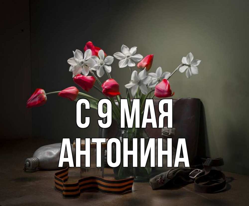 Открытка на каждый день с именем, Антонина С 9 мая 9 мая Прикольная открытка с пожеланием онлайн скачать бесплатно 