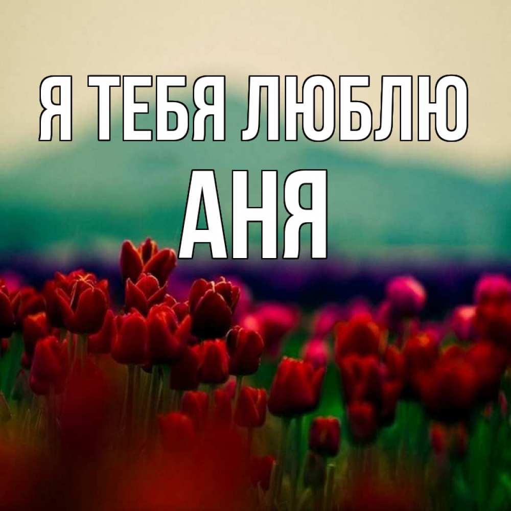 Открытка на каждый день с именем, Аня Я тебя люблю тюльпаны 4 Прикольная открытка с пожеланием онлайн скачать бесплатно 