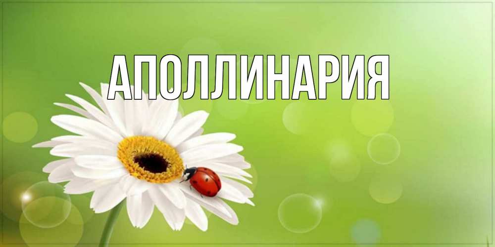 Открытка на каждый день с именем, Аполлинария Главная зеленый фон и ромашка Прикольная открытка с пожеланием онлайн скачать бесплатно 