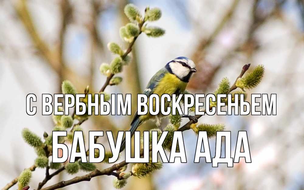 Открытка на каждый день с именем, Бабушка-Ада С вербным воскресеньем верба Прикольная открытка с пожеланием онлайн скачать бесплатно 