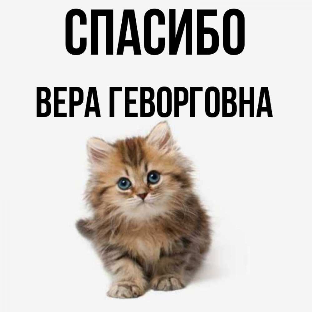 Спасибо Вера