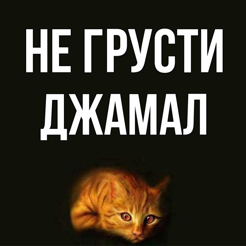 Открытка на каждый день с именем, Джамал Не грусти лежащий кот в темноте Прикольная открытка с пожеланием онлайн скачать бесплатно 