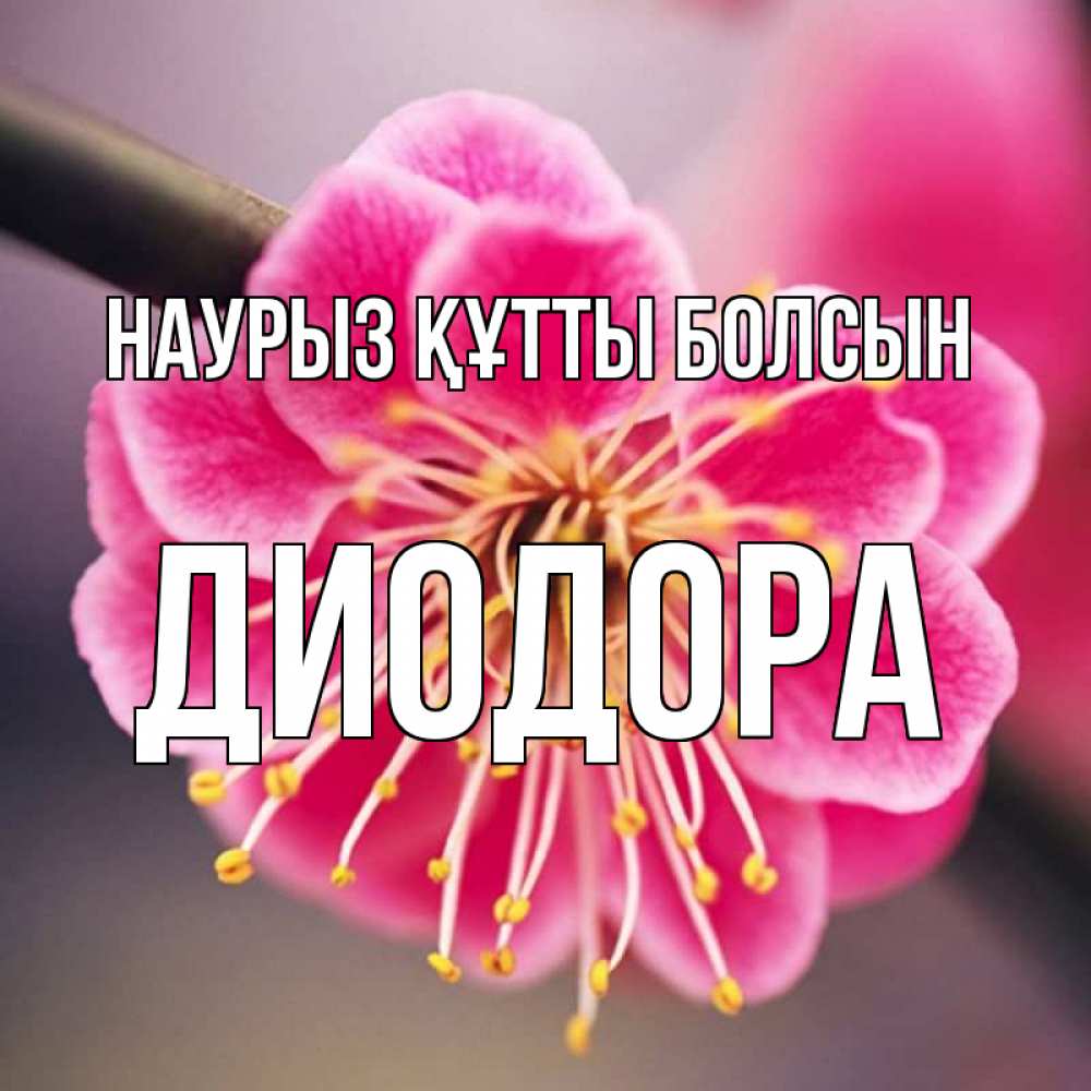 Открытка на каждый день с именем, Диодора Наурыз құтты болсын цветы Прикольная открытка с пожеланием онлайн скачать бесплатно 