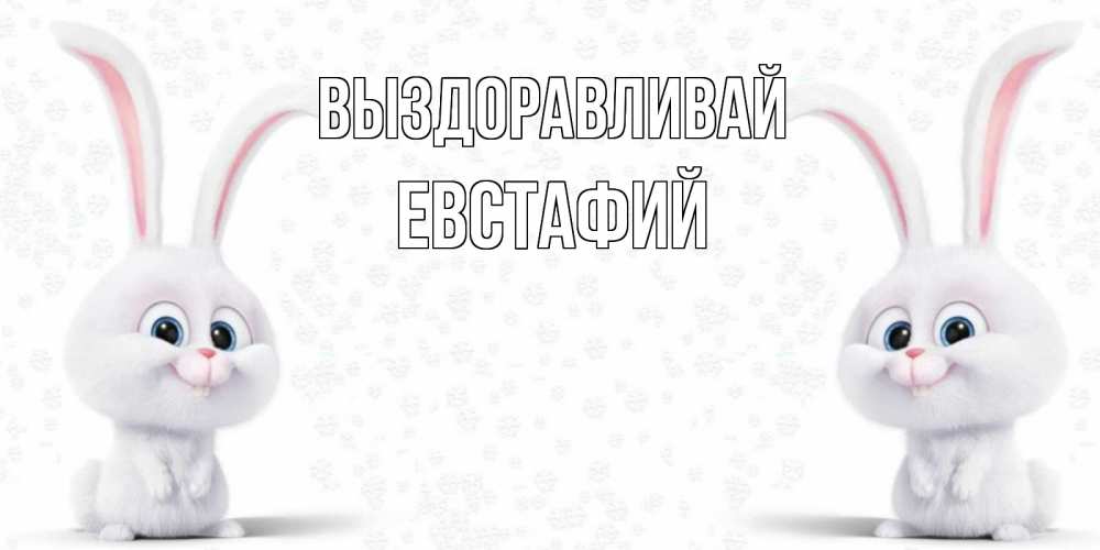 Открытка на каждый день с именем, Евстафий Выздоравливай не болей с зайцем Прикольная открытка с пожеланием онлайн скачать бесплатно 