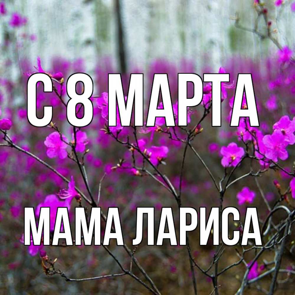 Открытка на каждый день с именем, Мама-Лариса С 8 МАРТА дикие цветы Прикольная открытка с пожеланием онлайн скачать бесплатно 