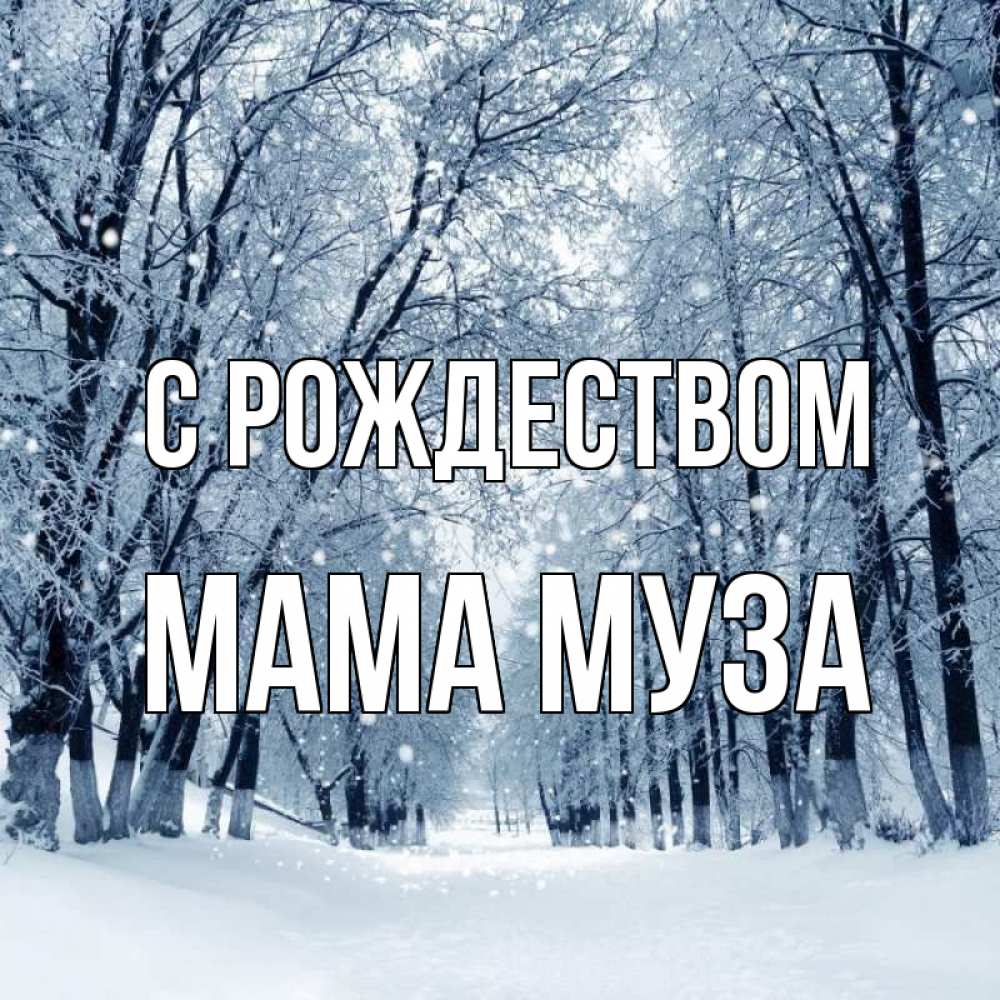 Открытка на каждый день с именем, Мама-Муза С рождеством снег, лес, парк Прикольная открытка с пожеланием онлайн скачать бесплатно 