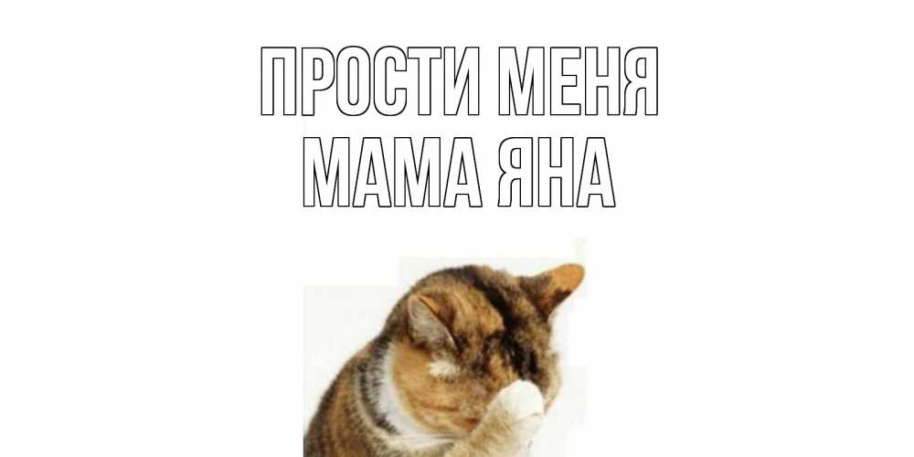 Открытка на каждый день с именем, Мама-Яна Прости меня кот Прикольная открытка с пожеланием онлайн скачать бесплатно 