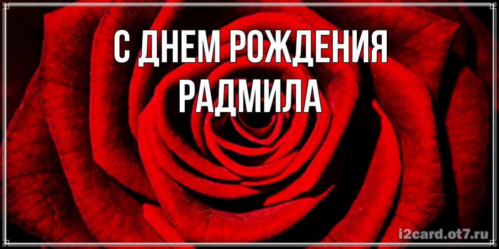 Открытка на каждый день с именем, Радмила С днем рождения алая роза Прикольная открытка с пожеланием онлайн скачать бесплатно 