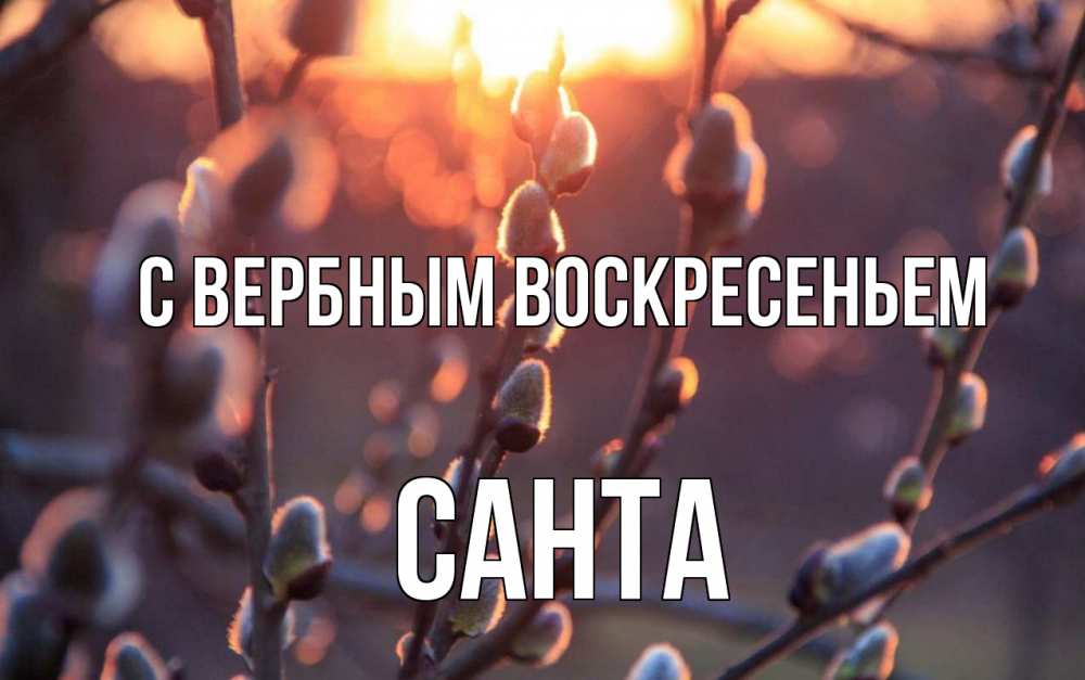 Открытка на каждый день с именем, Санта С вербным воскресеньем верба Прикольная открытка с пожеланием онлайн скачать бесплатно 