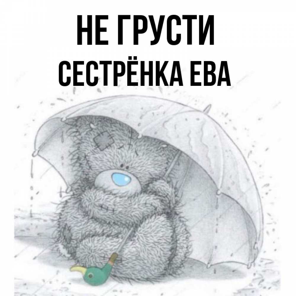 Открытка на каждый день с именем, Сестрёнка-Ева Не грусти спасите мишку Тедди Прикольная открытка с пожеланием онлайн скачать бесплатно 