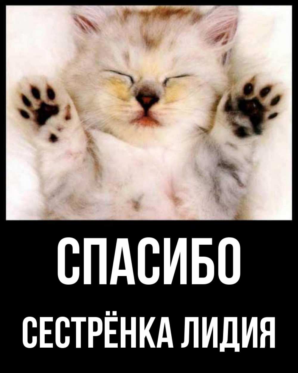 Открытка на каждый день с именем, Сестрёнка-Лидия Спасибо маленький котенок Прикольная открытка с пожеланием онлайн скачать бесплатно 