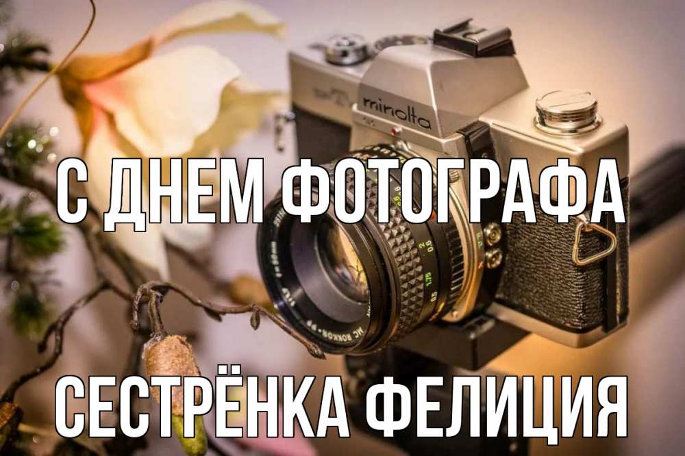 Открытка на каждый день с именем, Сестрёнка-Фелиция С днем фотографа с днем фотографа 1 Прикольная открытка с пожеланием онлайн скачать бесплатно 