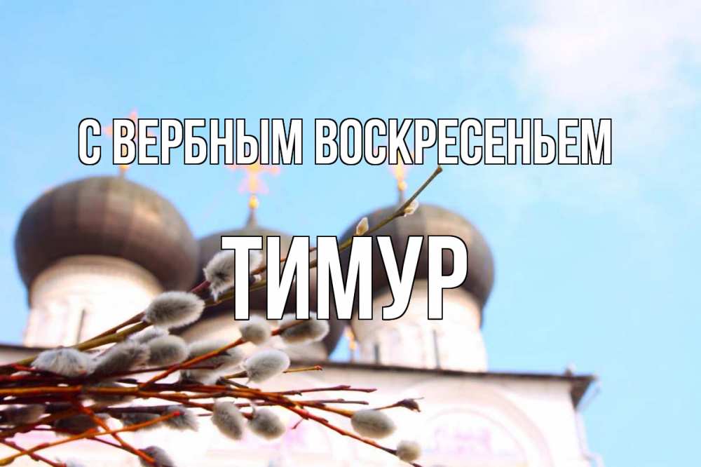 Открытка на каждый день с именем, Тимур С вербным воскресеньем верба Прикольная открытка с пожеланием онлайн скачать бесплатно 