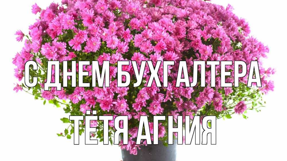 Открытка на каждый день с именем, Тётя-Агния С днем бухгалтера с днем бухгалтера Прикольная открытка с пожеланием онлайн скачать бесплатно 