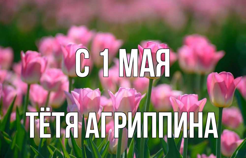 Открытка на каждый день с именем, Тётя-Агриппина С 1 мая С 1 мая Прикольная открытка с пожеланием онлайн скачать бесплатно 