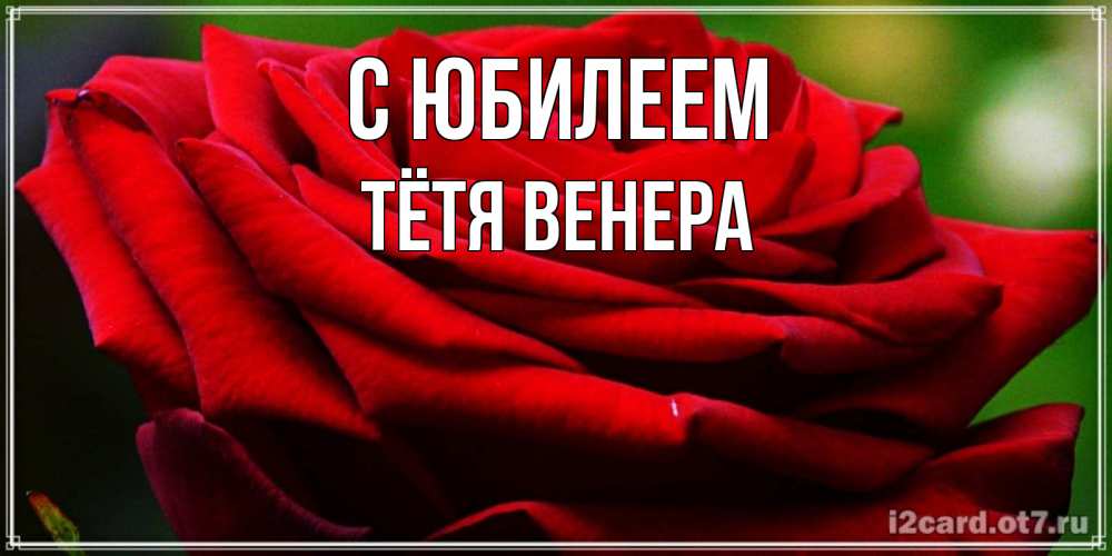 Открытка на каждый день с именем, Тётя-Венера С юбилеем розочка очень красивая Прикольная открытка с пожеланием онлайн скачать бесплатно 
