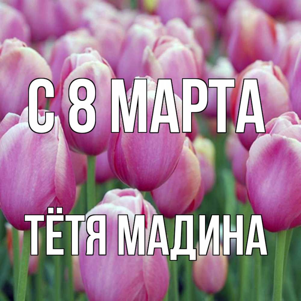 Открытка на каждый день с именем, Тётя-Мадина С 8 МАРТА на международный женский день 3 Прикольная открытка с пожеланием онлайн скачать бесплатно 