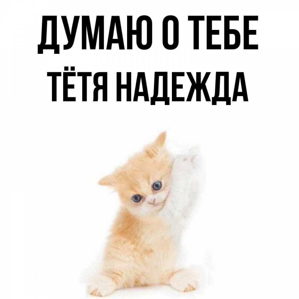 Открытка на каждый день с именем, Тётя-Надежда Думаю о тебе зверушки и милота Прикольная открытка с пожеланием онлайн скачать бесплатно 