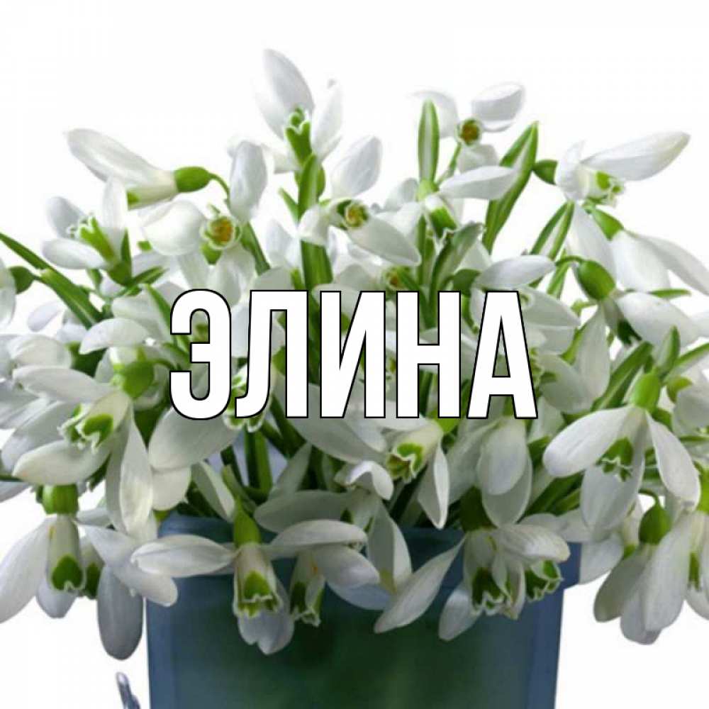 Открытка на каждый день с именем, Элина Главная цветы к международному женскому дню Прикольная открытка с пожеланием онлайн скачать бесплатно 
