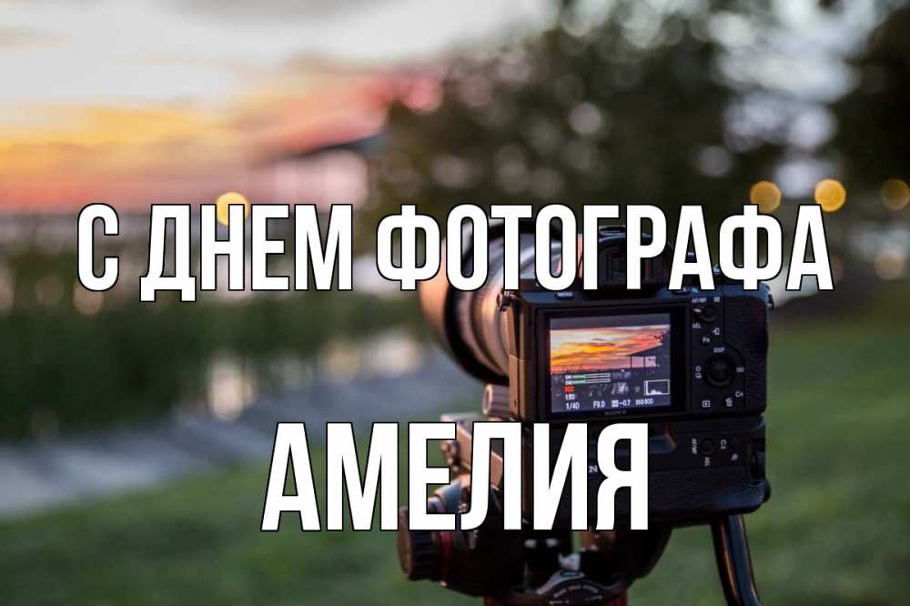Открытка на каждый день с именем, Амелия С днем фотографа с днем фотографа Прикольная открытка с пожеланием онлайн скачать бесплатно 