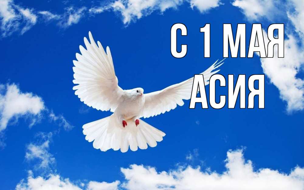Открытка на каждый день с именем, Асия С 1 мая С 1 мая 1 Прикольная открытка с пожеланием онлайн скачать бесплатно 