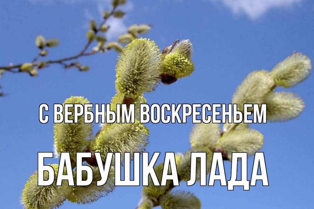 Открытка на каждый день с именем, Бабушка-Лада С вербным воскресеньем верба Прикольная открытка с пожеланием онлайн скачать бесплатно 