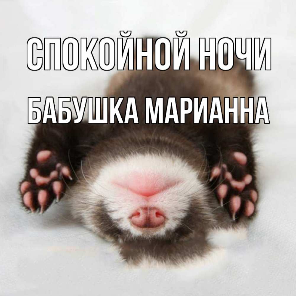Открытка на каждый день с именем, Бабушка-Марианна Спокойной ночи зверек Прикольная открытка с пожеланием онлайн скачать бесплатно 