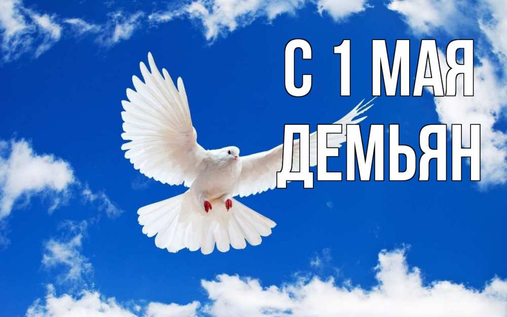 Открытка на каждый день с именем, Демьян С 1 мая С 1 мая 1 Прикольная открытка с пожеланием онлайн скачать бесплатно 