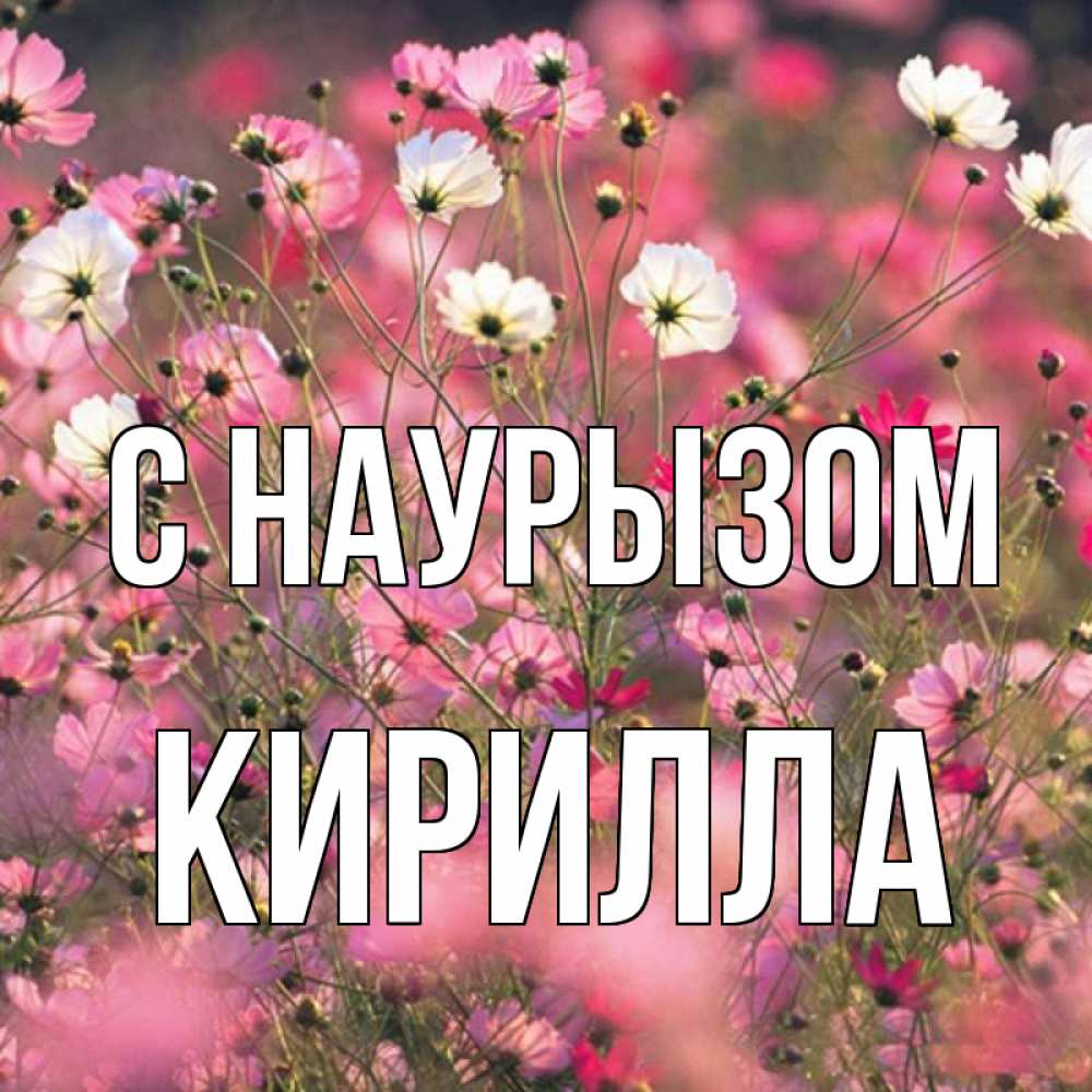 Открытка на каждый день с именем, Кирилла С наурызом красиво 1 Прикольная открытка с пожеланием онлайн скачать бесплатно 