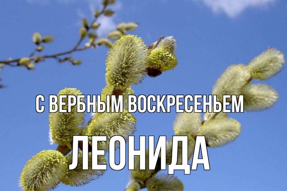 Открытка на каждый день с именем, Леонида С вербным воскресеньем верба Прикольная открытка с пожеланием онлайн скачать бесплатно 