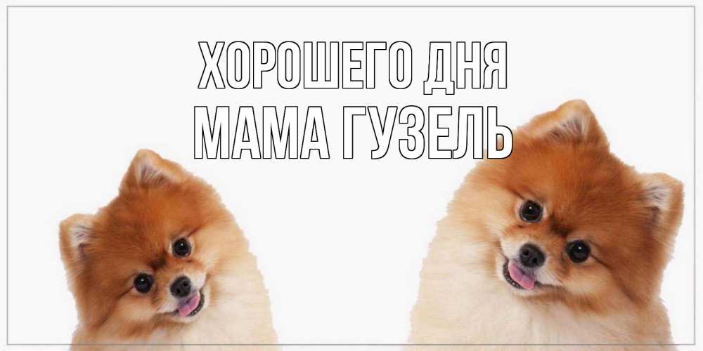 Открытка на каждый день с именем, Мама-Гузель Хорошего дня собачки желают прекрасного дня Прикольная открытка с пожеланием онлайн скачать бесплатно 
